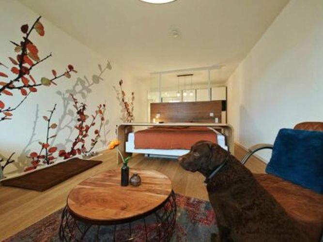 Artroom Boarding Apartment Bissendorf Exterior foto